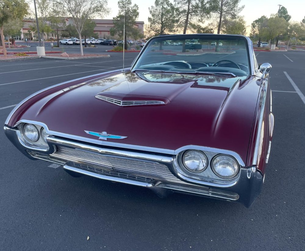 WhatsApp Image 2025-11-01 at 21.33.32_74bd1e78